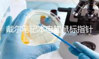 戴尔笔记本电脑鼠标指针抖动几个原因
